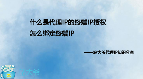 什么是代理IP的终端IP授权，怎么绑定终端IP