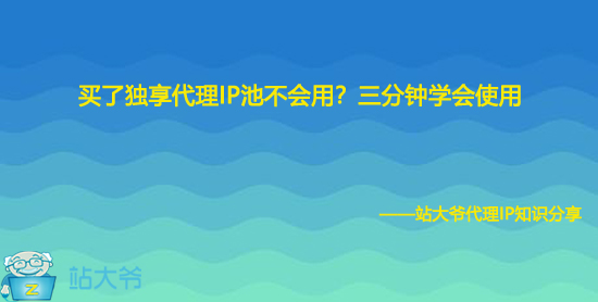 买了独享代理IP池不会用？三分钟学会使用