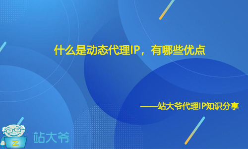 什么是动态代理IP，有哪些优点