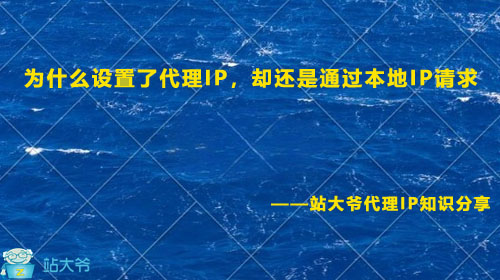 为什么设置了代理IP，却还是通过本地IP请求
