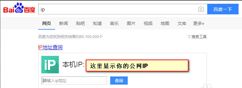 查看公网IP