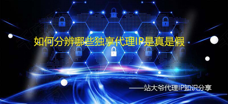 如何分辨哪些独享代理IP是真是假 如何分辨哪些独享代理IP是真是假