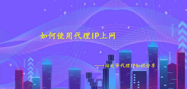 如何使用代理IP上网