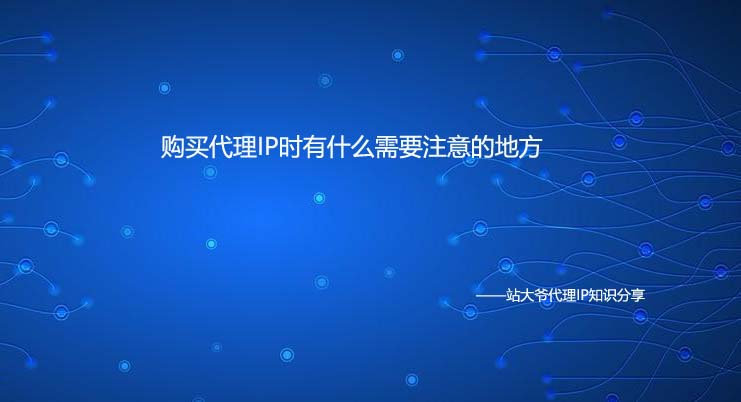 购买代理IP时有什么需要注意的地方