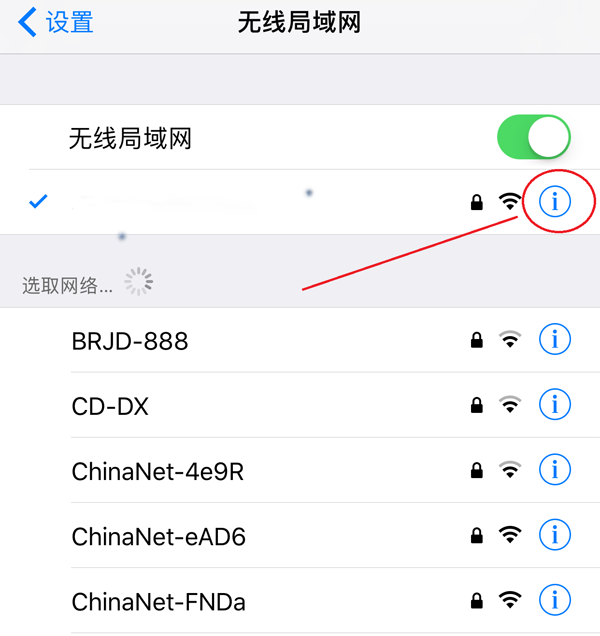 苹果手机Apple怎么使用代理IP上网 苹果手机Apple怎么使用代理IP上网
