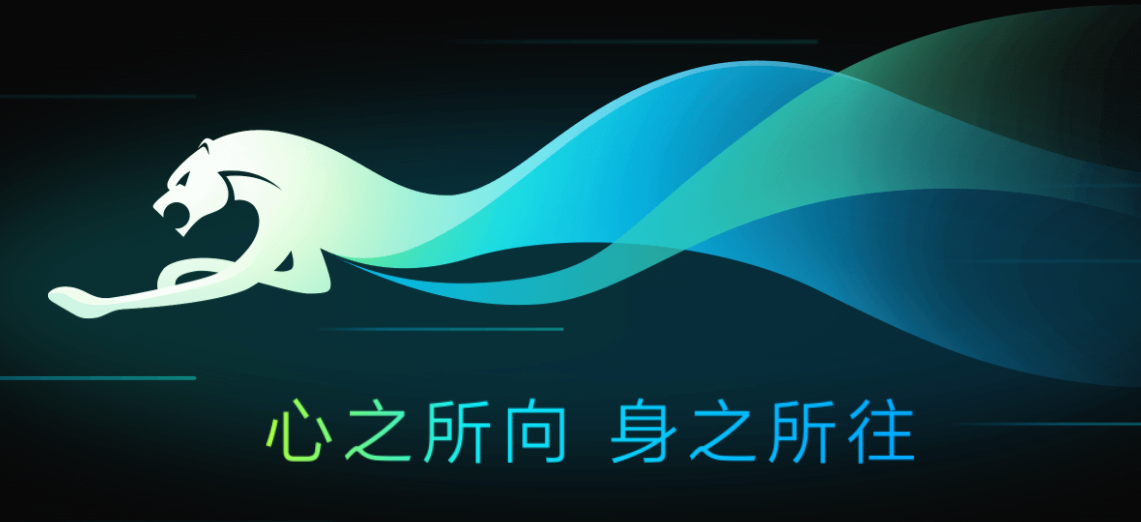 猎豹浏览器如何设置代理IP上网