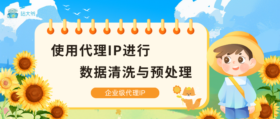使用代理IP进行数据清洗与预处理
