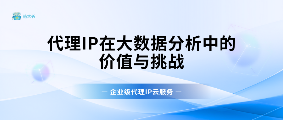 代理IP在大数据分析中的价值与挑战