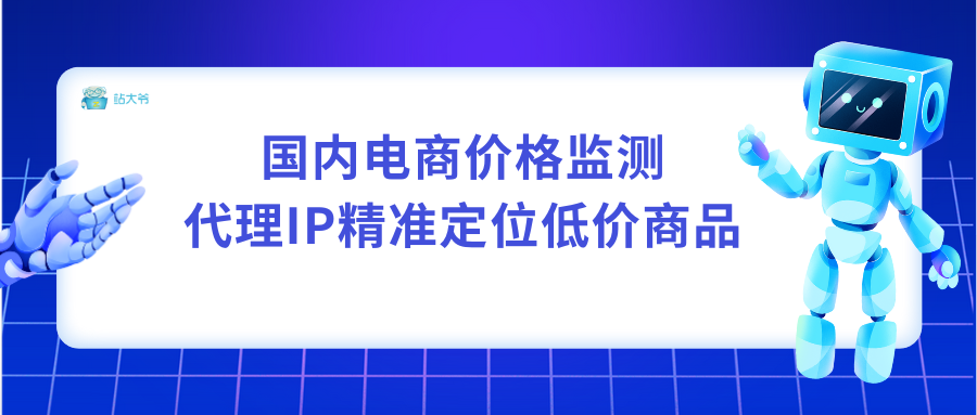 国内电商价格监测：代理IP精准定位低价商品
