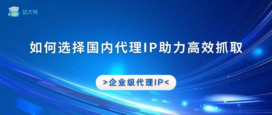 如何选择优质国内代理IP助力高效抓取