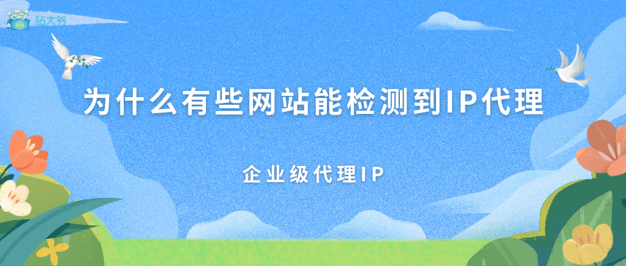 为什么有些网站能检测到IP代理