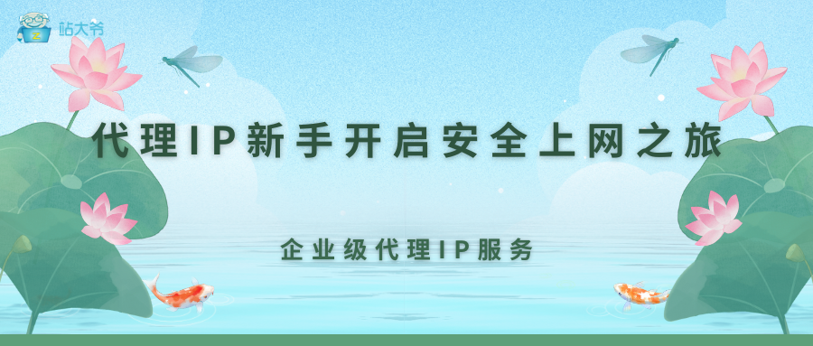 代理IP新手必读：轻松上手，开启安全上网之旅