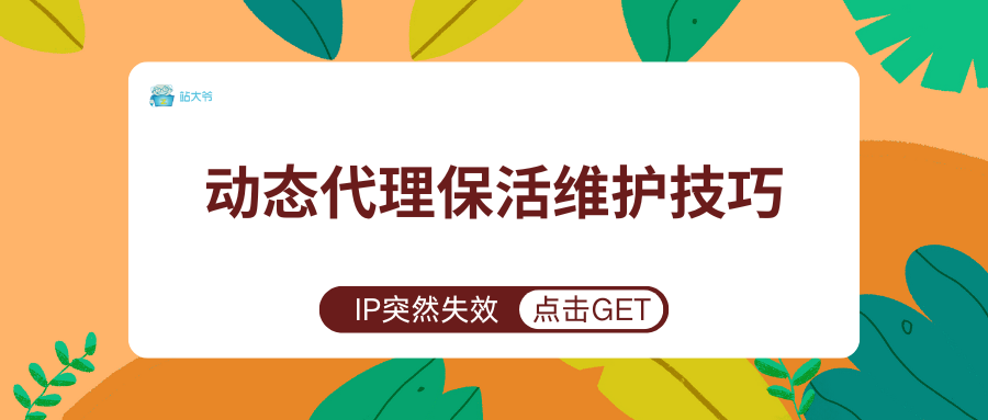 IP突然失效？动态代理保活维护技巧