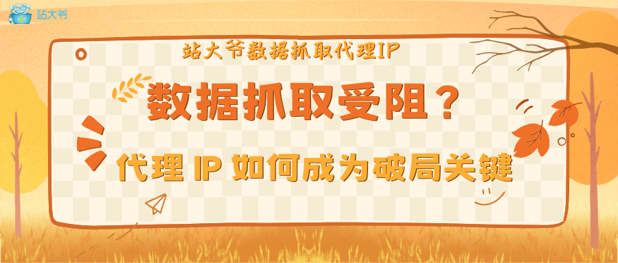 数据抓取受阻？代理 IP 如何成为破局关键.png